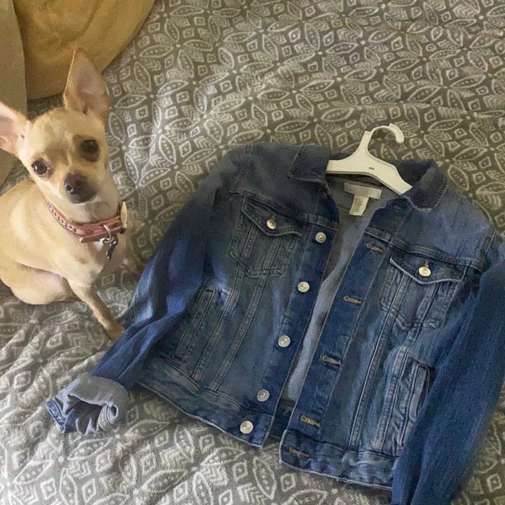 H&M jean jacket